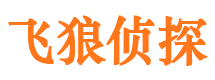 北辰外遇调查取证